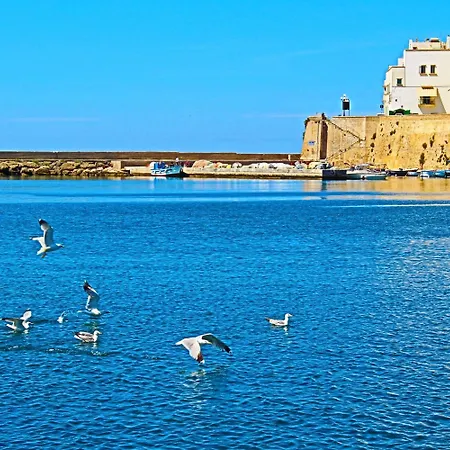 Kalypso Gallipoli